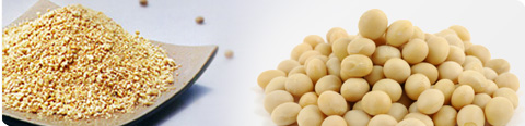 products_hypro_soybean_meal_img