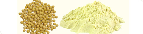 products_soyavigor_flour_img